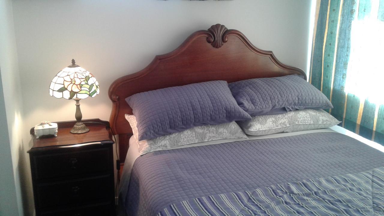 Airport Silver Fern Accommodation Christchurch Ngoại thất bức ảnh