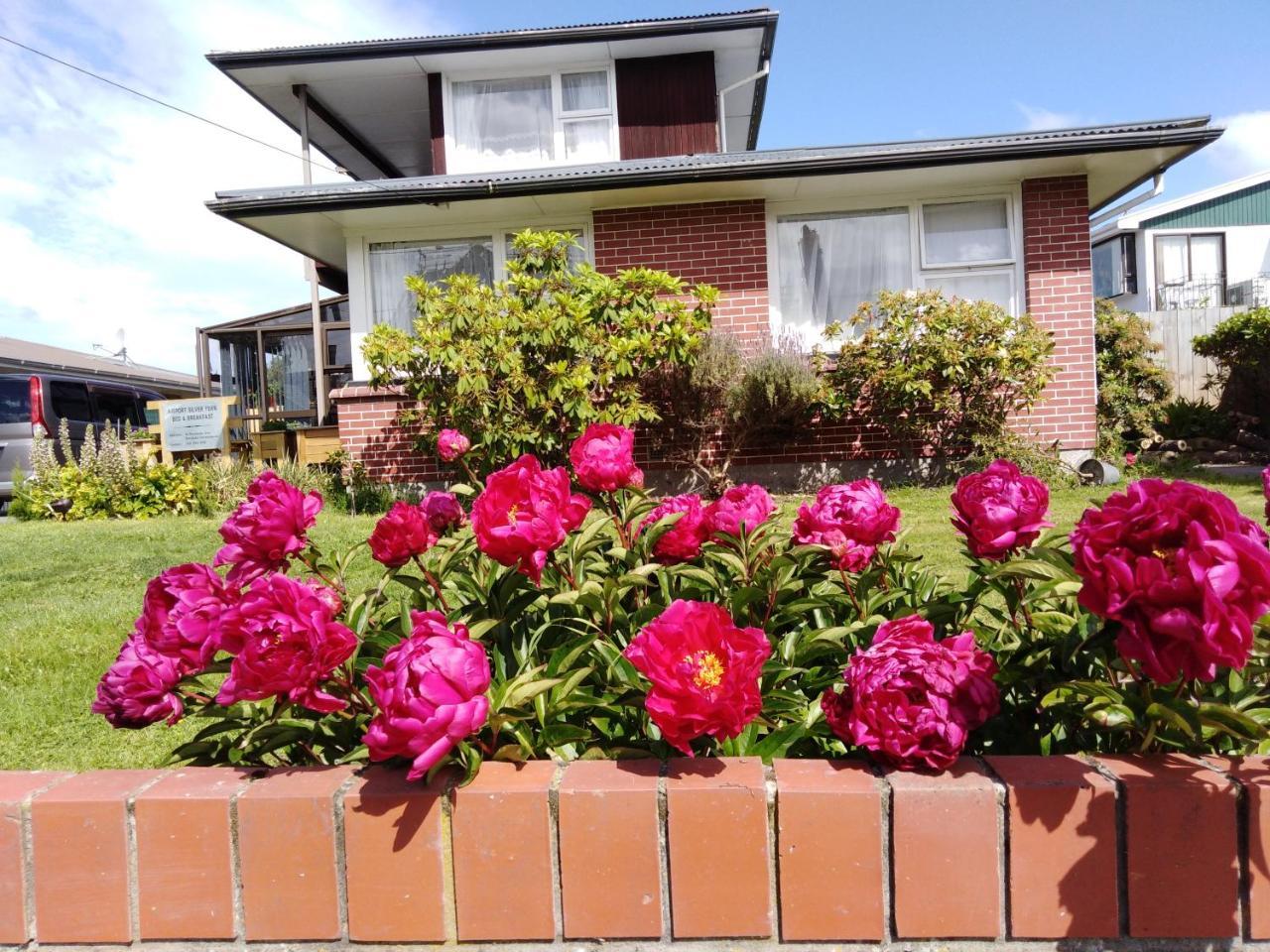 Airport Silver Fern Accommodation Christchurch Ngoại thất bức ảnh